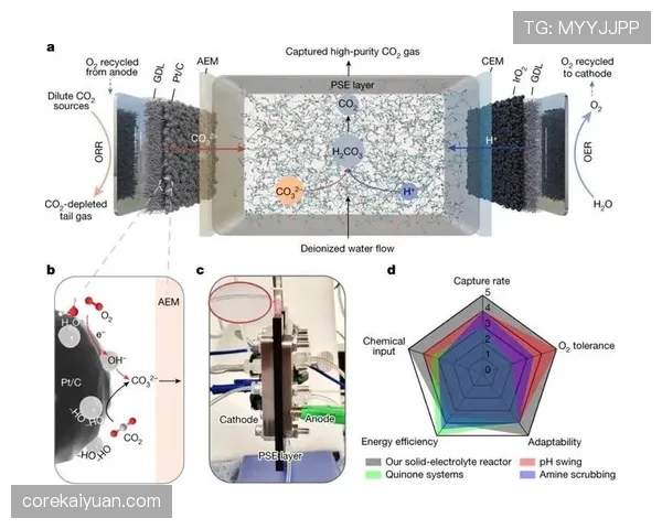 卡马文加与赖斯的防守覆盖能力及拦截效率差异解析